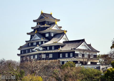 okayama-castle2