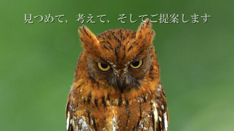 ���߂āA�l���āA�����Ă���Ă��܂�