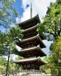 �m�a���@�܏d��