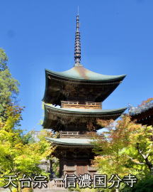 �M�Z������