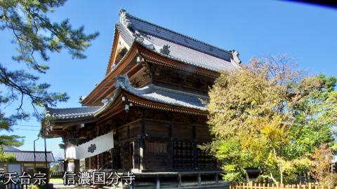 �M�Z������